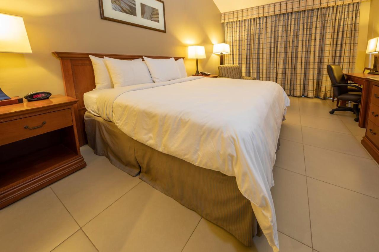 King Suite with Sofa Bed - Non Smoking,993687421:JPEG